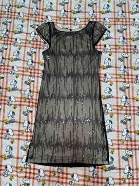 Black Sheer Overlay Mini Dress with Subtle Sequin Detail